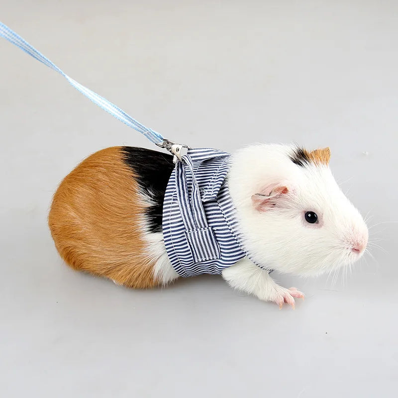 Small Pets Chest Strap Outdoor Traction Rope Adjustable Harness Vest For Hedgehog Chinchilla Dutch Guinea Pig Pet Supply