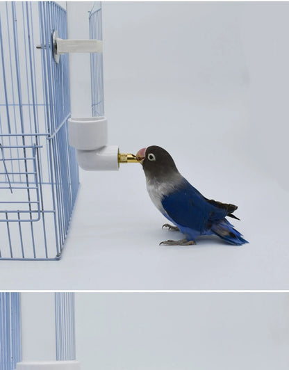 Parrot Drinking Kettle Large Automatic Water Feeder Pet Chinchilla Rabbit Water Cup Outdoor Cage Chickens Bird Drinker