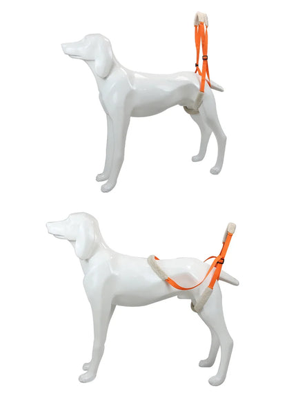 Pet Rear Leg Support Aid Sling Pet Dog Lift Harness For Elderly Dog With Poor Stability Back Legs Hip Disabled Joint Injury