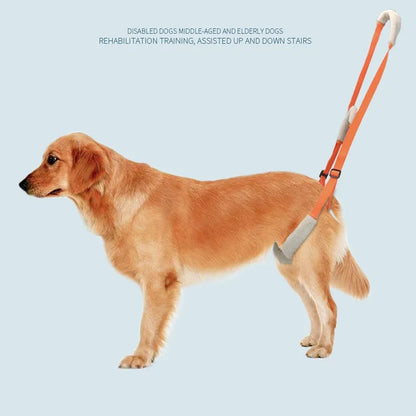Pet Rear Leg Support Aid Sling Pet Dog Lift Harness For Elderly Dog With Poor Stability Back Legs Hip Disabled Joint Injury