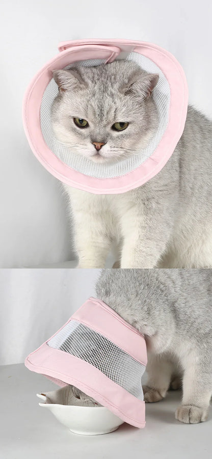 Pet Cat Dogs Health Recovery Elizabethan Cotton Filling Collar Protective Medical Cone E- Collar for Dog and Cat