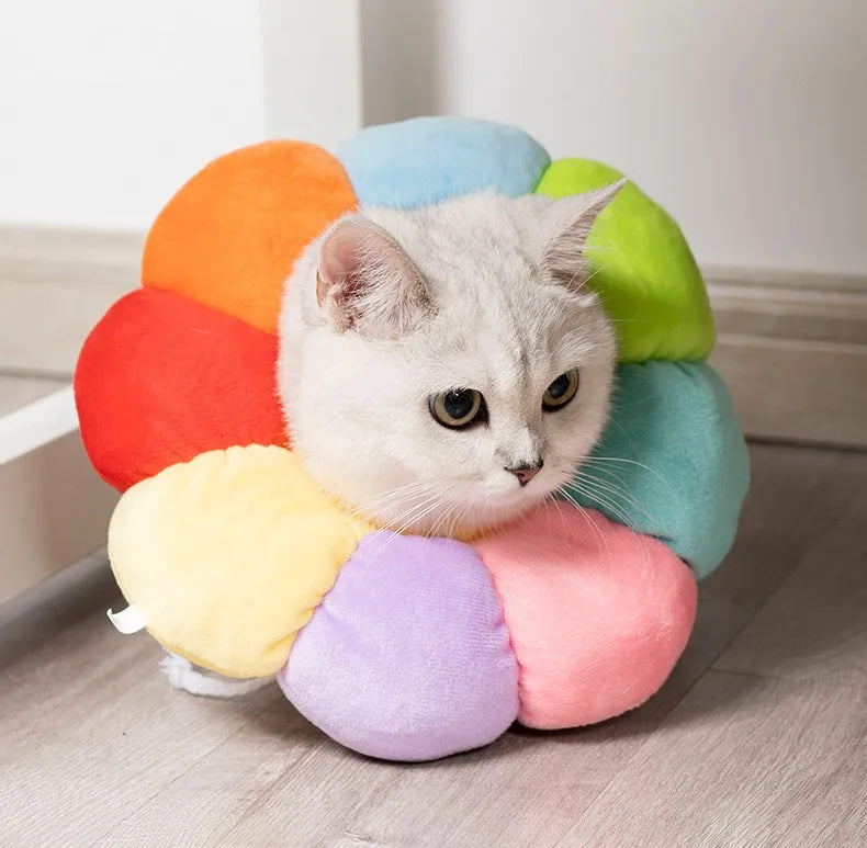 Rainbow Flower Cat Elizabethan Collar Pet Dog Neck Cone Recovery Collar Anti-bite Protective Medical Neck Ring Pet Accessories