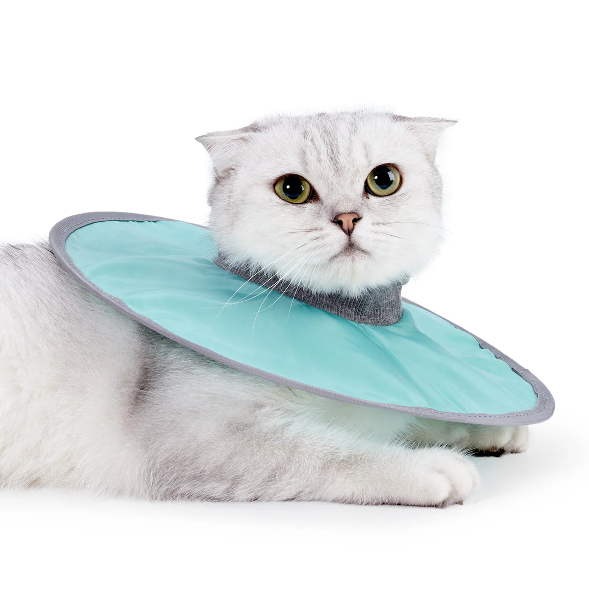 Pet Cat Protective Collar Neck Recovery Cone Collar for Anti-Bite Lick Reusable Cat Dogs Health Medical Circle for Pet Supplies
