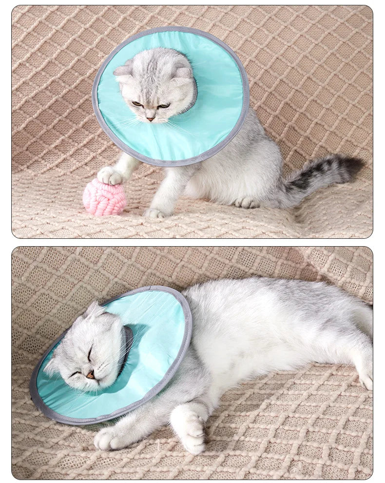 Pet Cat Protective Collar Neck Recovery Cone Collar for Anti-Bite Lick Reusable Cat Dogs Health Medical Circle for Pet Supplies