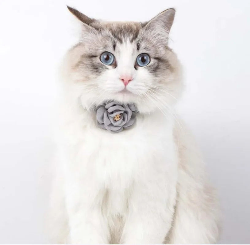 Pet Collars New Cat Camellia Flower Cat Collars Cute Princess's Birthday Adjustable Dog Dressing Tool Pet Accessories Supplies