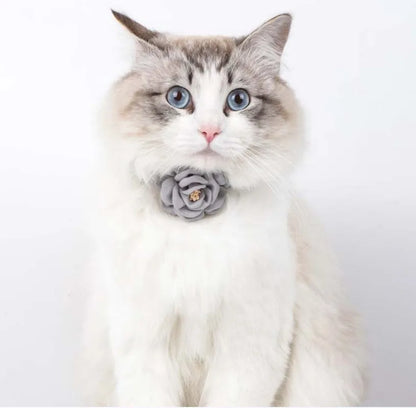 Pet Collars New Cat Camellia Flower Cat Collars Cute Princess's Birthday Adjustable Dog Dressing Tool Pet Accessories Supplies
