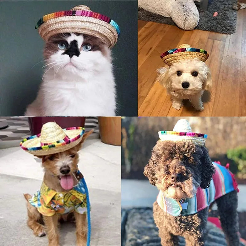 Summer Pet Cat Hat Adjustable Breathable Fashionable Cat and Dog Sun Protection Decoration Design Hat Party Supplies