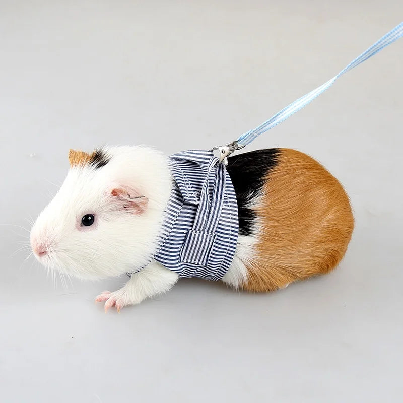 Small Pets Chest Strap Outdoor Traction Rope Adjustable Harness Vest For Hedgehog Chinchilla Dutch Guinea Pig Pet Supply