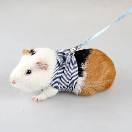 Small Pets Chest Strap Outdoor Traction Rope Adjustable Harness Vest For Hedgehog Chinchilla Dutch Guinea Pig Pet Supply