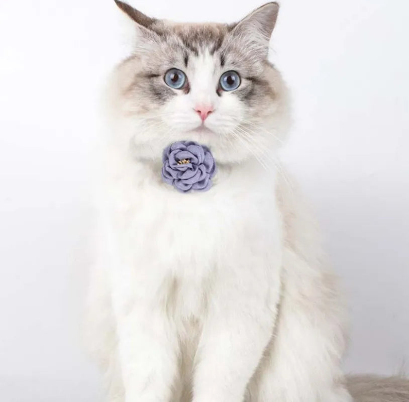 Pet Collars New Cat Camellia Flower Cat Collars Cute Princess's Birthday Adjustable Dog Dressing Tool Pet Accessories Supplies