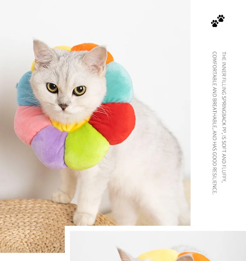 Rainbow Flower Cat Elizabethan Collar Pet Dog Neck Cone Recovery Collar Anti-bite Protective Medical Neck Ring Pet Accessories