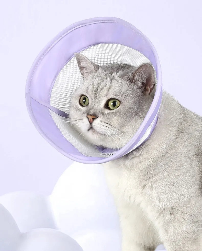 Pet Cat Dogs Health Recovery Elizabethan Cotton Filling Collar Protective Medical Cone E- Collar for Dog and Cat