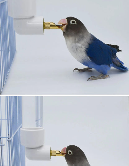 Parrot Drinking Kettle Large Automatic Water Feeder Pet Chinchilla Rabbit Water Cup Outdoor Cage Chickens Bird Drinker
