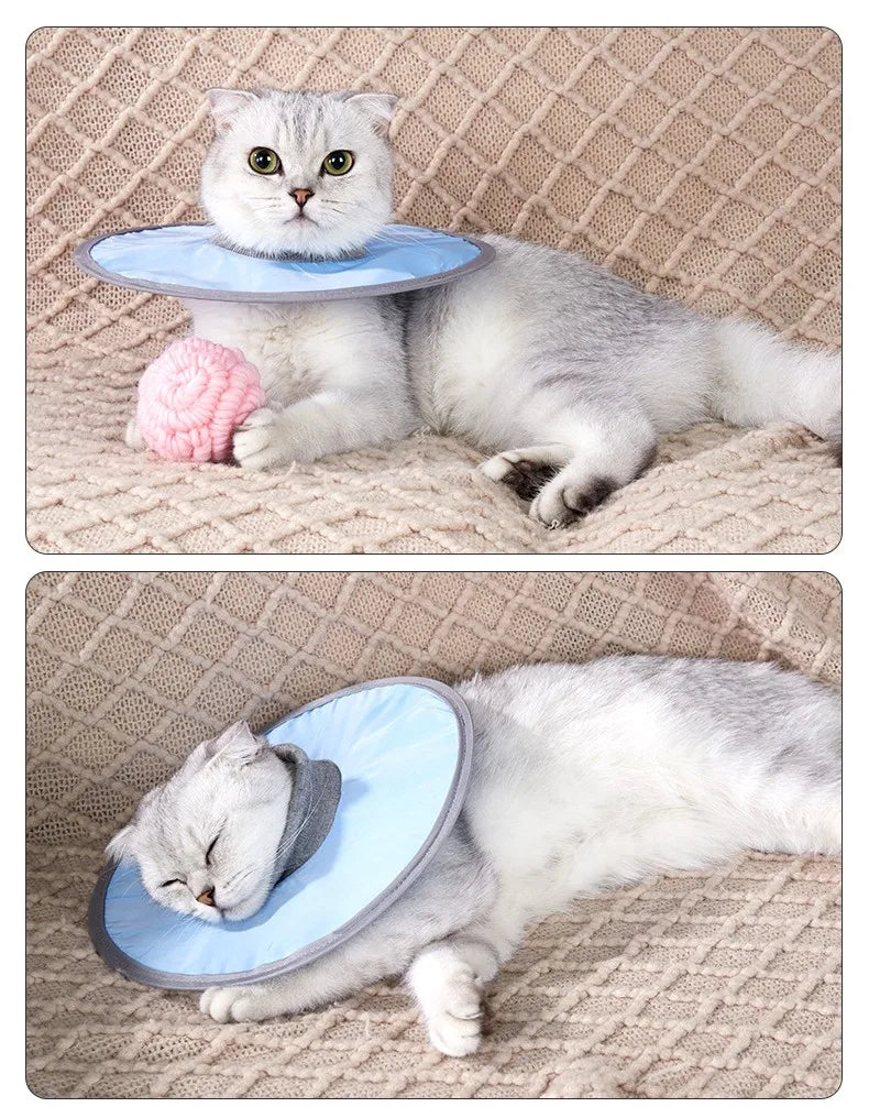 Pet Cat Protective Collar Neck Recovery Cone Collar for Anti-Bite Lick Reusable Cat Dogs Health Medical Circle for Pet Supplies