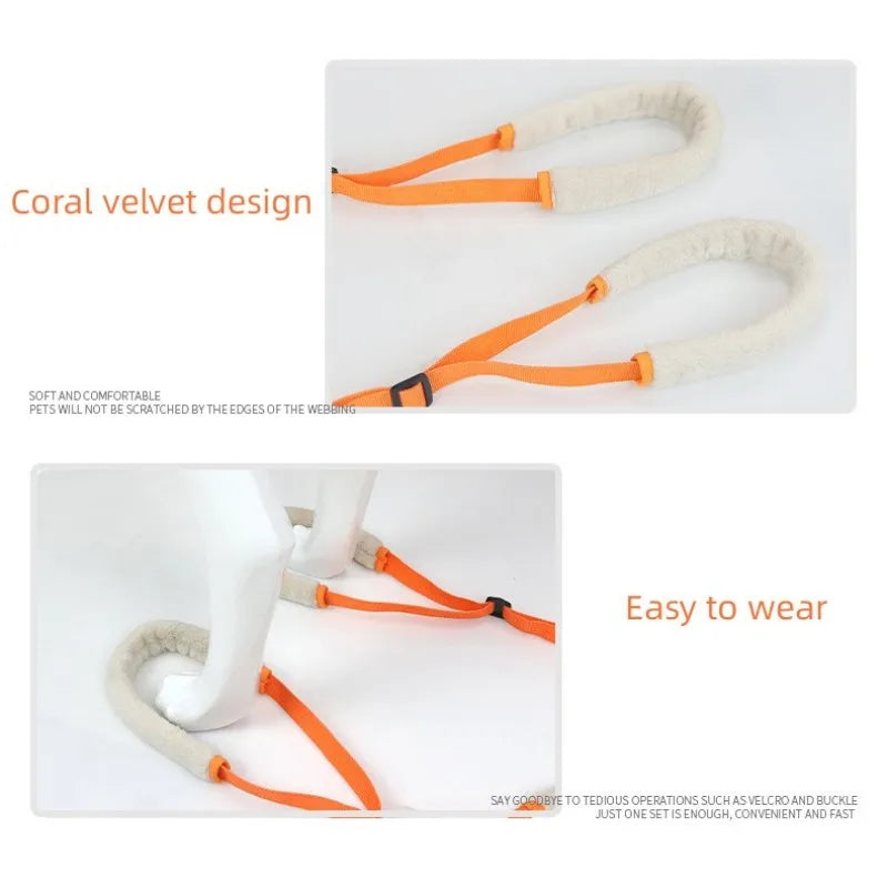 Pet Rear Leg Support Aid Sling Pet Dog Lift Harness For Elderly Dog With Poor Stability Back Legs Hip Disabled Joint Injury