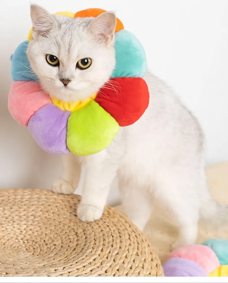 Rainbow Flower Cat Elizabethan Collar Pet Dog Neck Cone Recovery Collar Anti-bite Protective Medical Neck Ring Pet Accessories