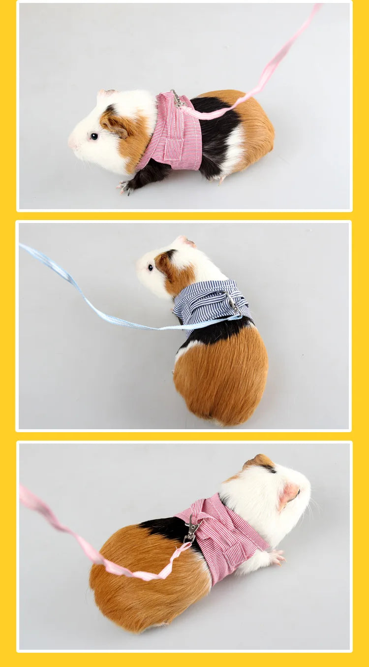 Small Pets Chest Strap Outdoor Traction Rope Adjustable Harness Vest For Hedgehog Chinchilla Dutch Guinea Pig Pet Supply