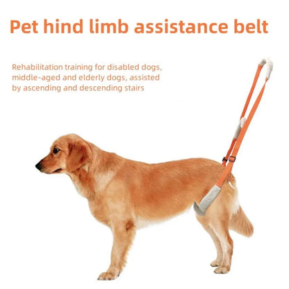 Pet Rear Leg Support Aid Sling Pet Dog Lift Harness For Elderly Dog With Poor Stability Back Legs Hip Disabled Joint Injury