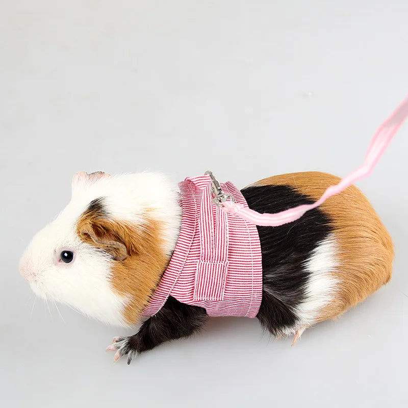 Small Pets Chest Strap Outdoor Traction Rope Adjustable Harness Vest For Hedgehog Chinchilla Dutch Guinea Pig Pet Supply